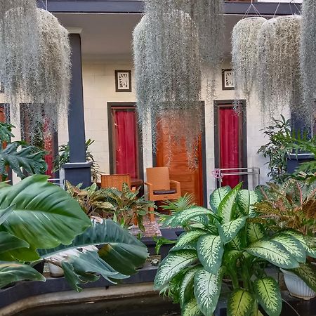 Double N Guesthouse Sanur Dış mekan fotoğraf
