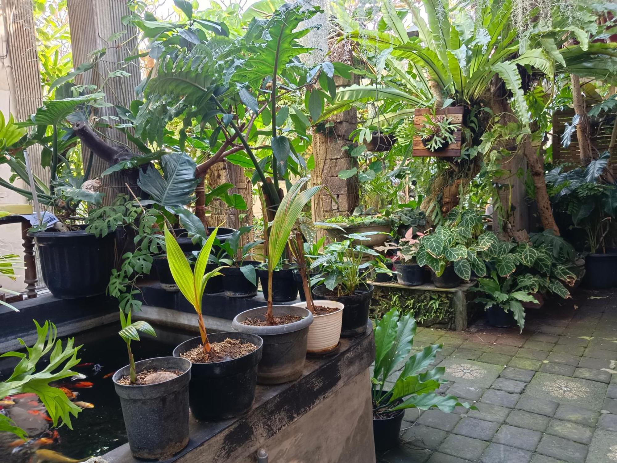 Double N Guesthouse Sanur Dış mekan fotoğraf