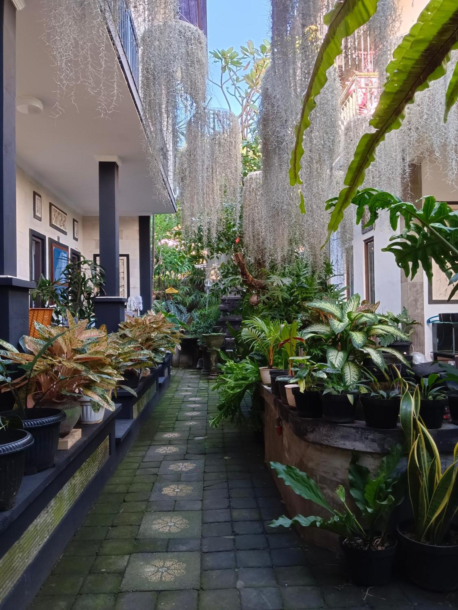 Double N Guesthouse Sanur Dış mekan fotoğraf