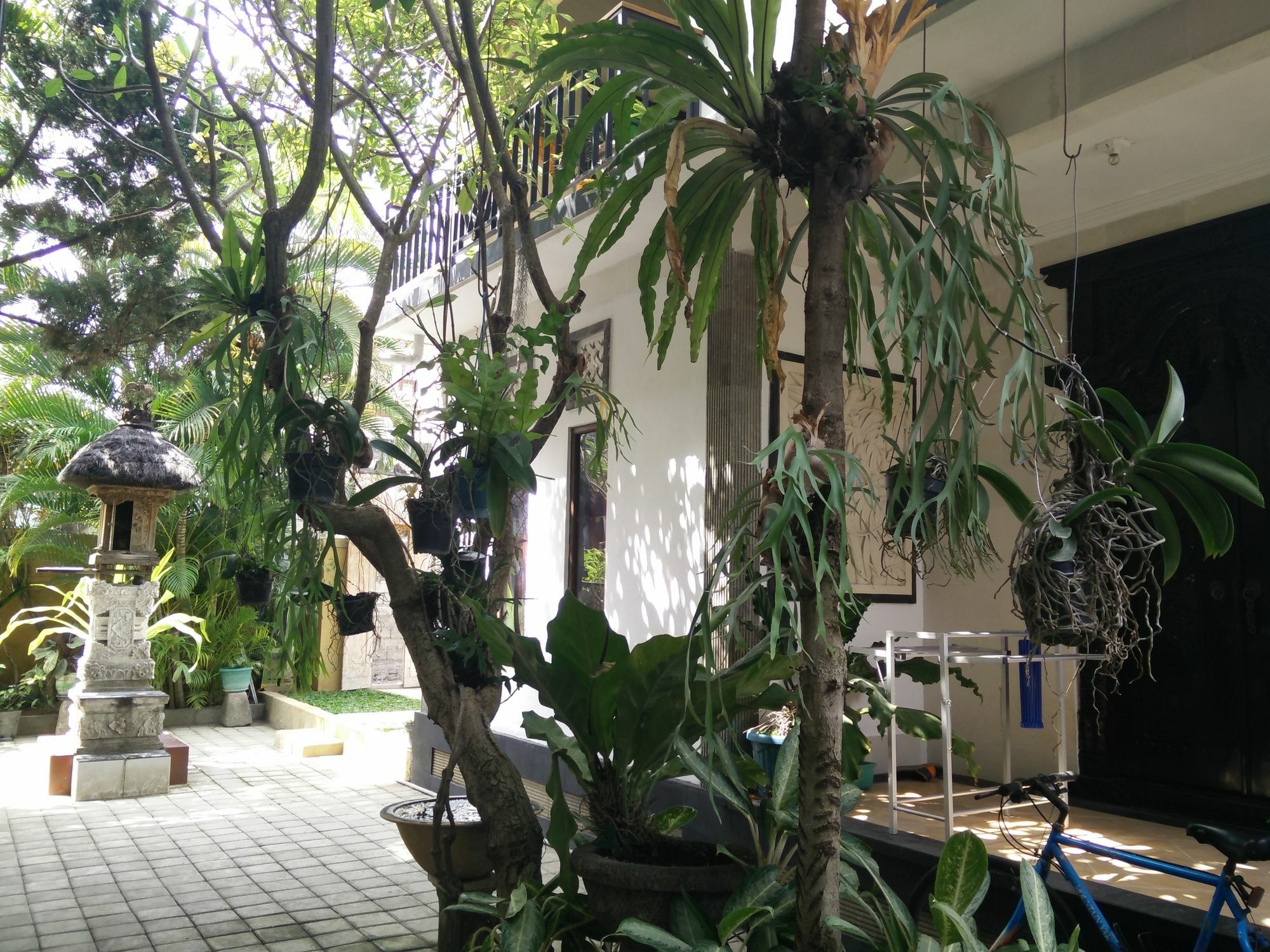 Double N Guesthouse Sanur Dış mekan fotoğraf
