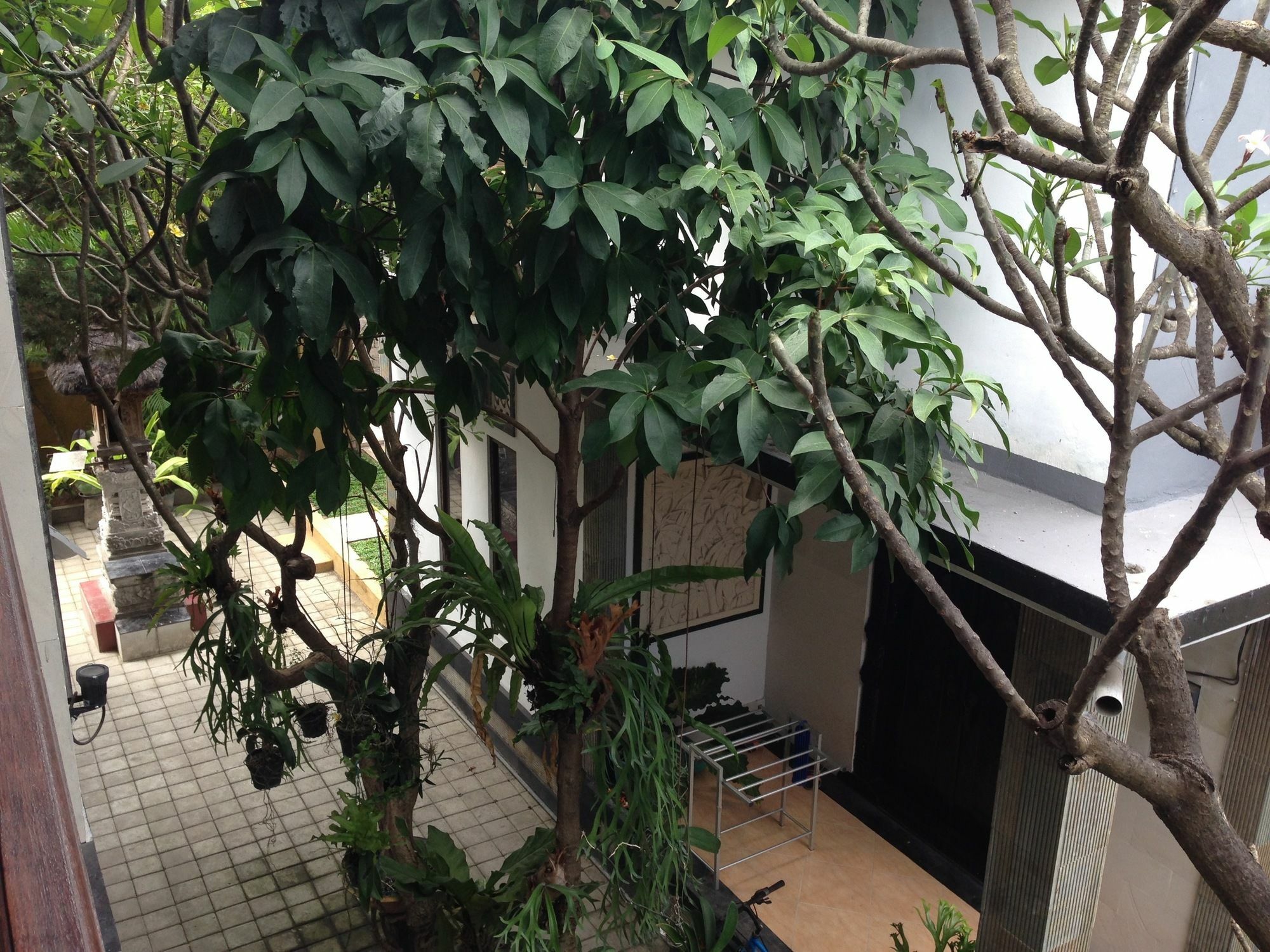 Double N Guesthouse Sanur Dış mekan fotoğraf